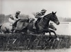 slideshow_Champion_Silver_Buck