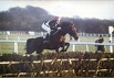 french_hollow